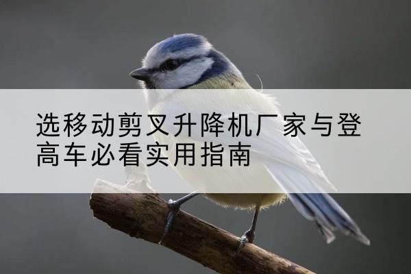 南岗电动升降机厂家-选移动剪叉升降机厂家与登高车必看实用指南
