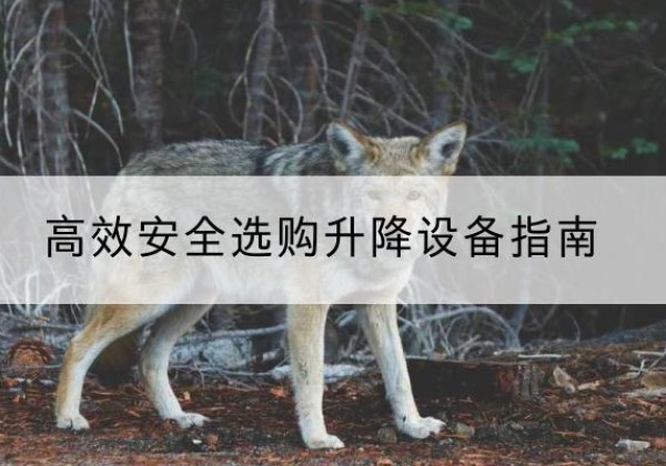 南岗升降货梯厂家推荐-*安全选购升降设备指南