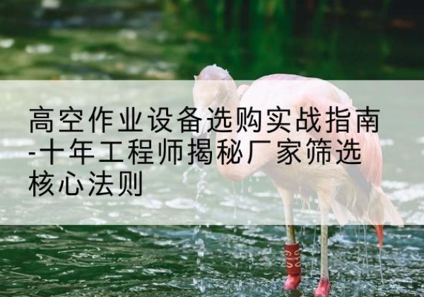 南岗剪叉式升降机厂家-高空作业设备选购实战指南-十年工程师揭秘厂家筛选核心法则
